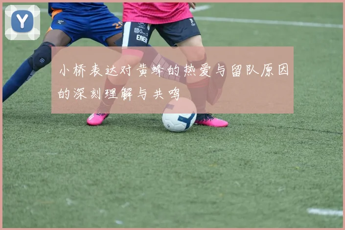 小桥表达对黄蜂的热爱与留队原因的深刻理解与共鸣