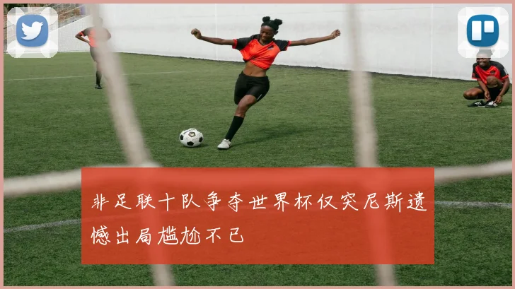 非足联十队争夺世界杯仅突尼斯遗憾出局尴尬不已