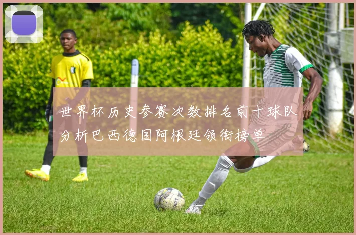 世界杯历史参赛次数排名前十球队分析巴西德国阿根廷领衔榜单